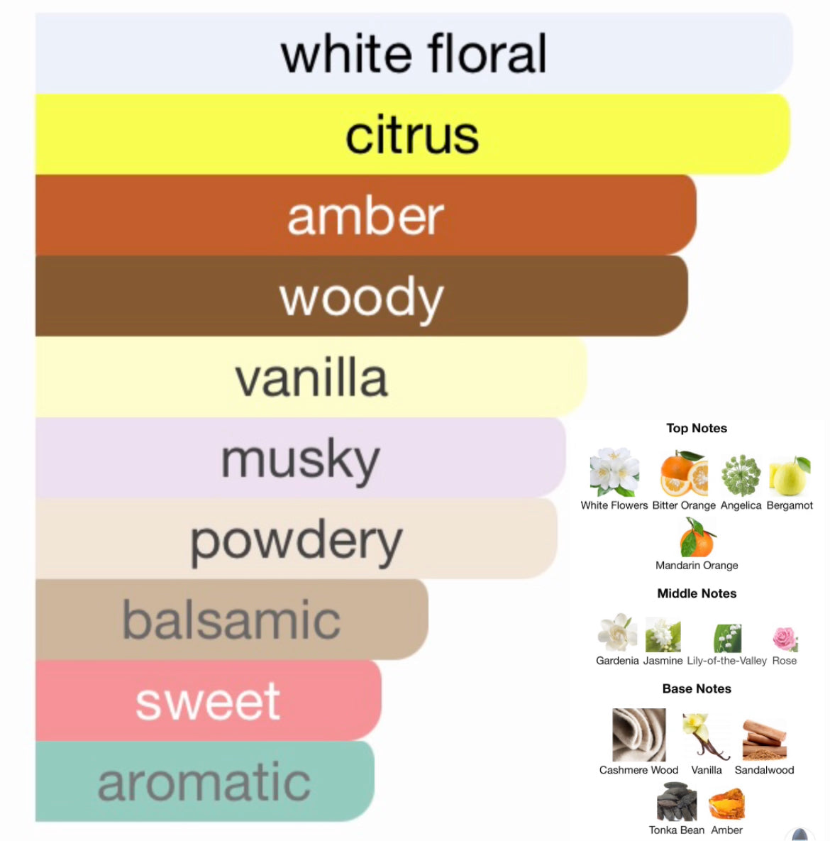 Calvin Klein Obsession Night