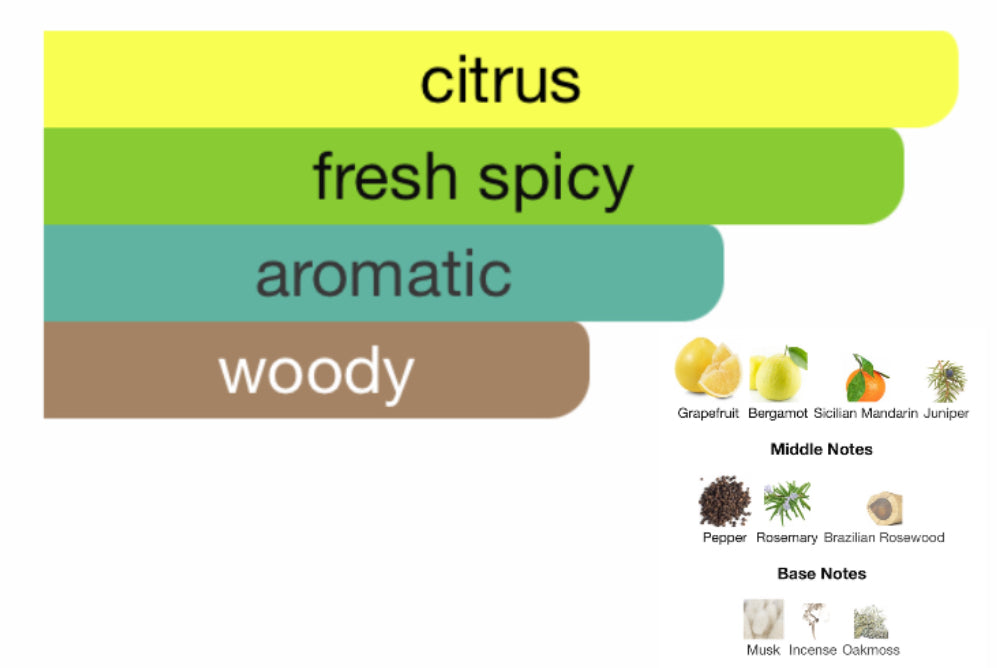 Dolce & Gabbana Light Blue Pour Homme