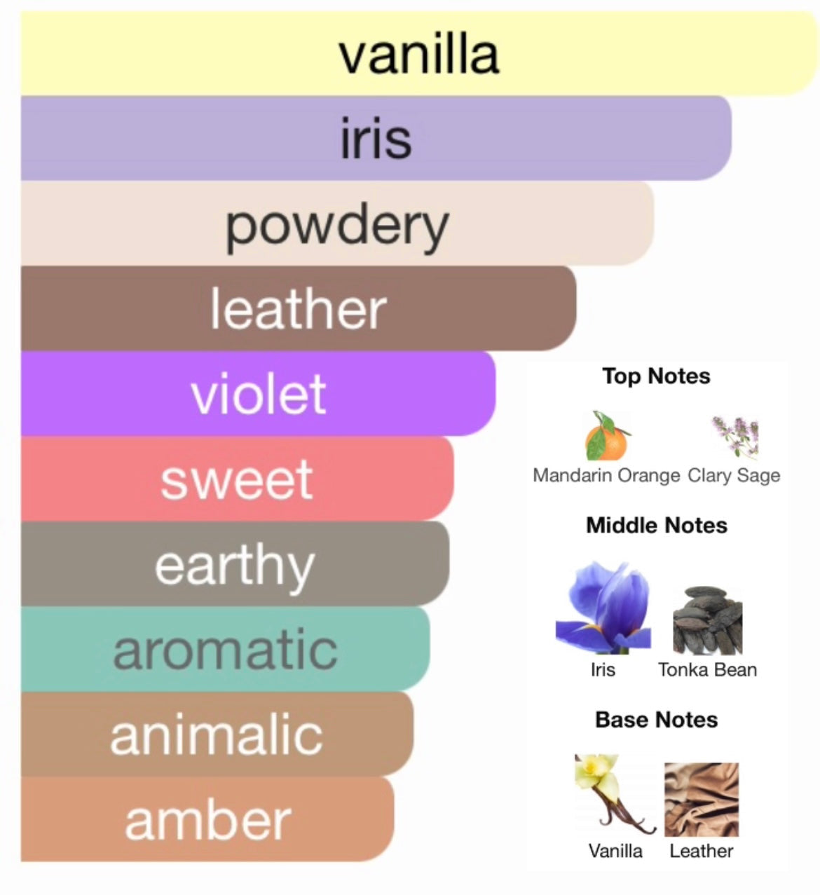 Valentino Uomo Intense